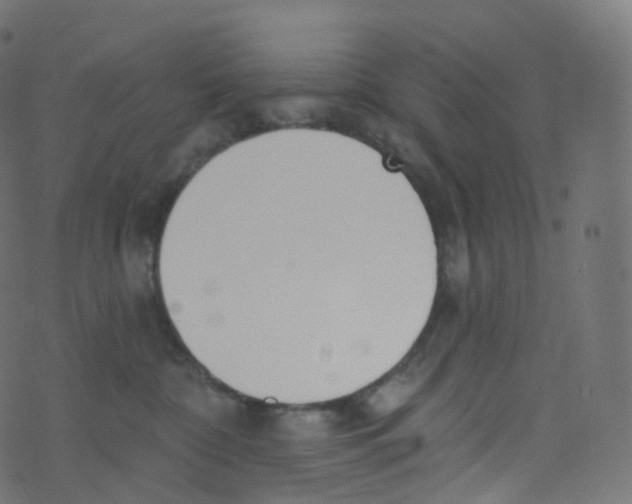 X0000073460332200608251738