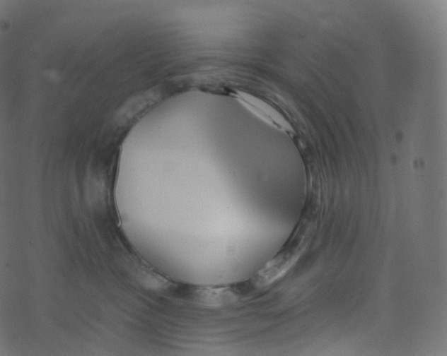 X0000073460333200608251738