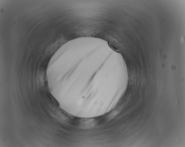 X0000073460334200608251738