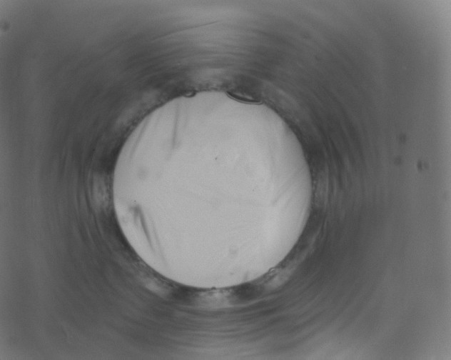 X0000073460335200608251738