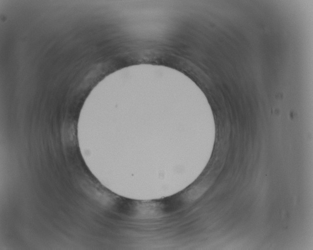 X0000073460336200608251738