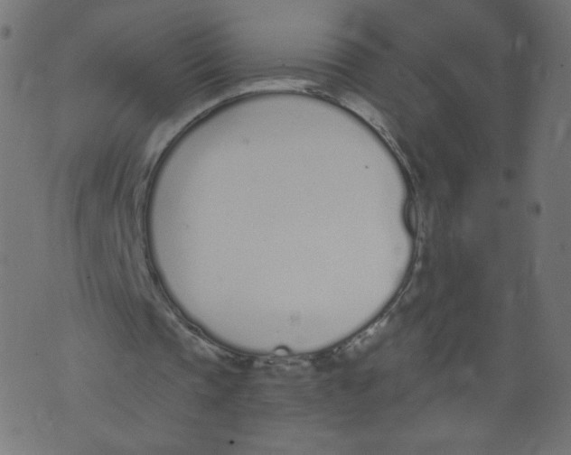 X0000073460337200608251737