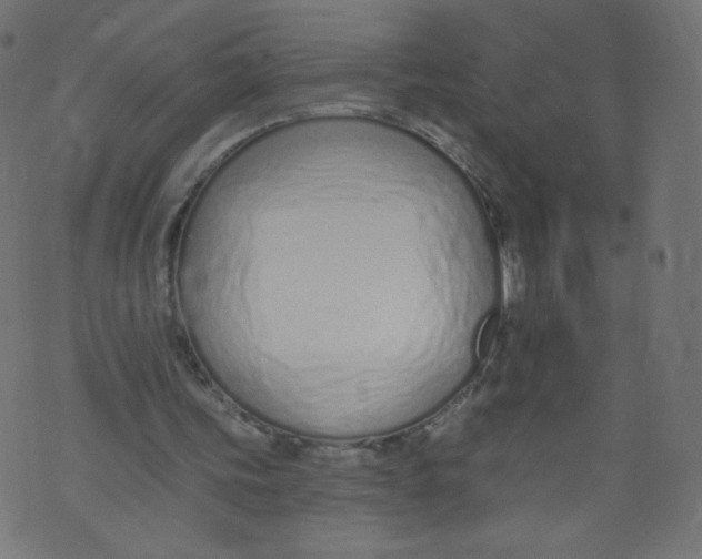 X0000073460339200608251737