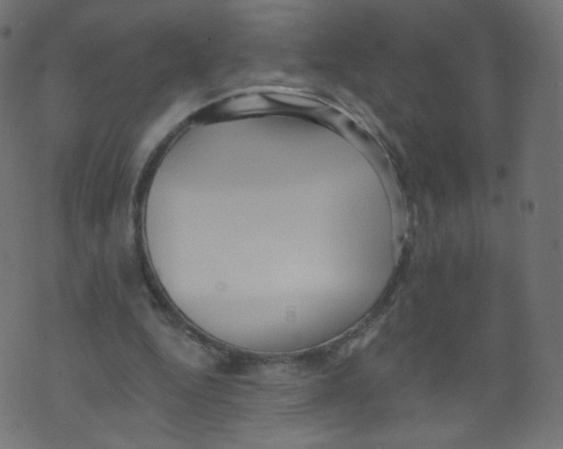 X0000073460344200608251737