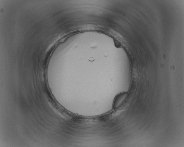 X0000073460347200608251737