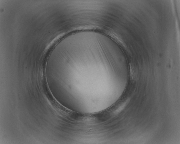 X0000073460348200608251737