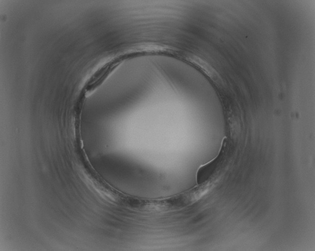 X0000073460350200608251737