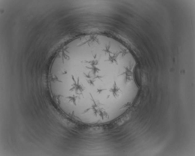 X0000073460353200608251737