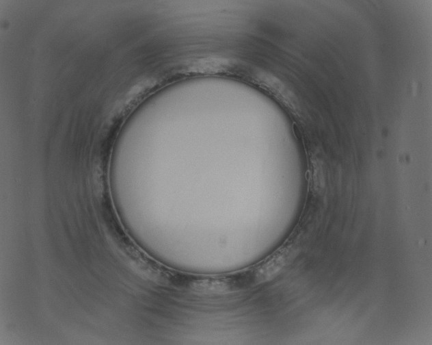 X0000073460354200608251737