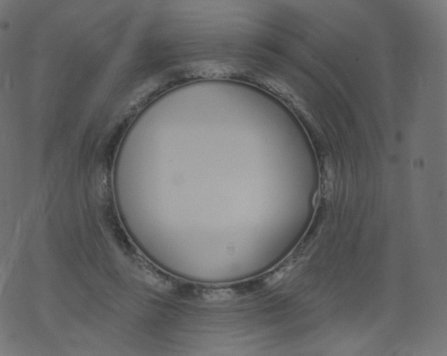 X0000073460355200608251737