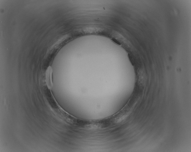 X0000073460356200608251737