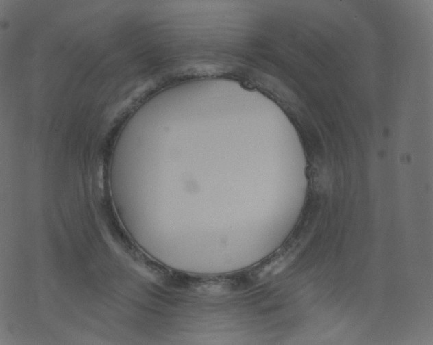 X0000073460358200608251737