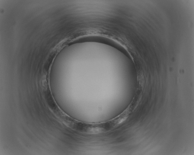 X0000073460360200608251737