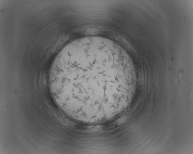 X0000073460363200608251737