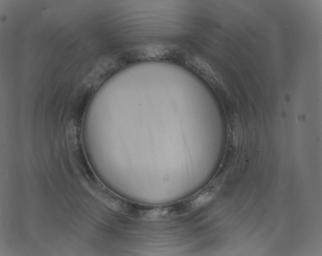 X0000073460366200608251737