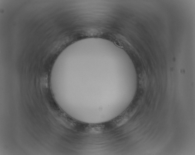 X0000073460368200608251738