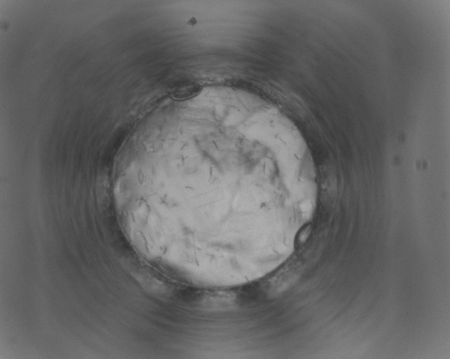 X0000073460369200608251738