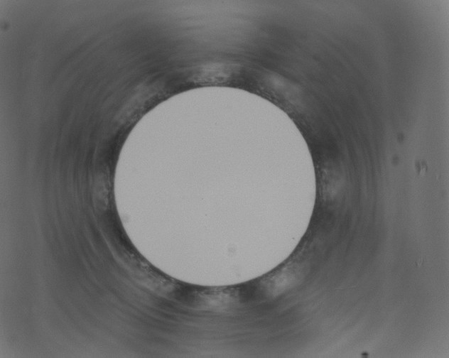 X0000073460370200608251738