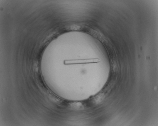 X0000073460374200608251738