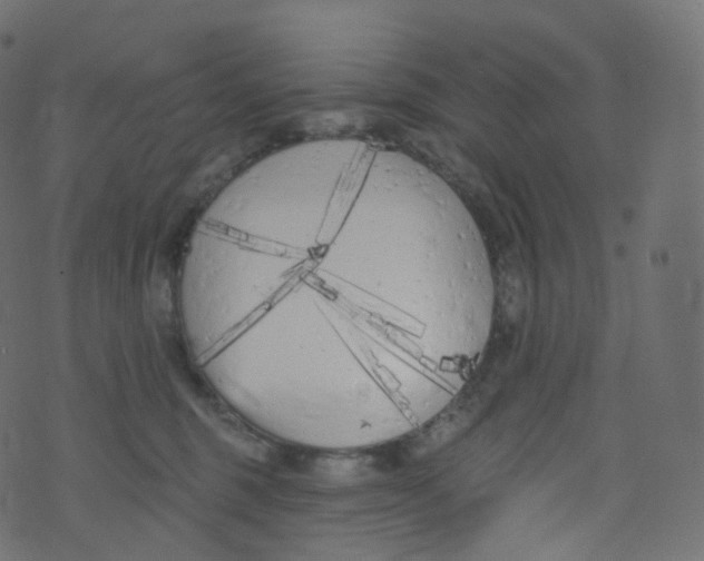 X0000073460375200608251738