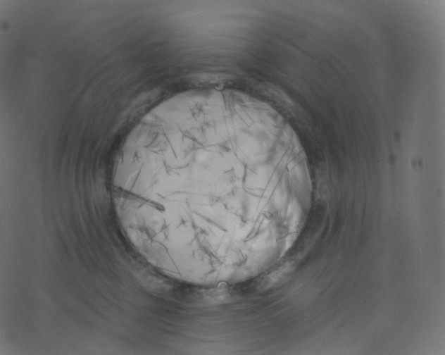 X0000073460377200608251738