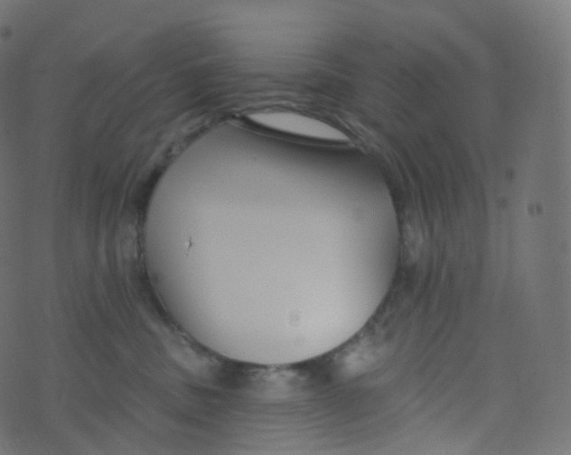 X0000073460379200608251738