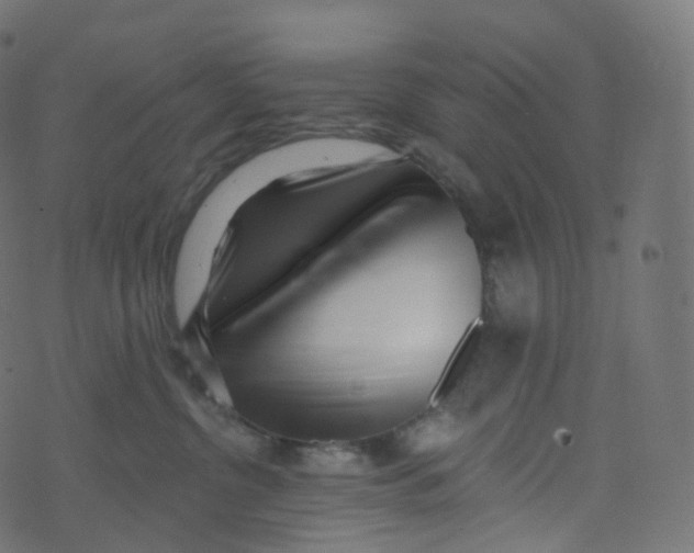 X0000073460380200608251738