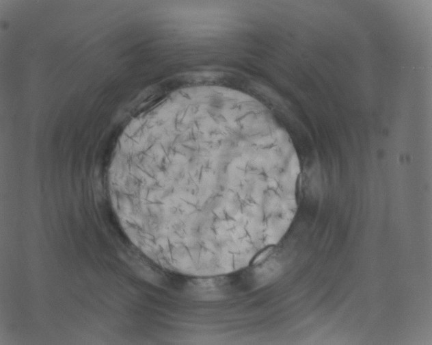 X0000073460381200608251738