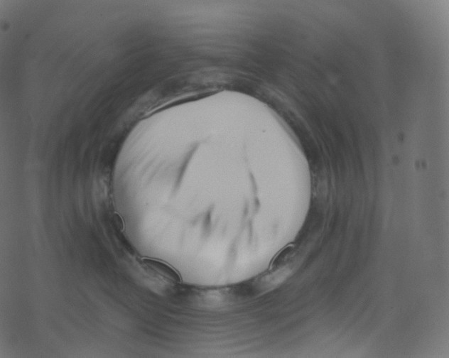 X0000073460382200608251738