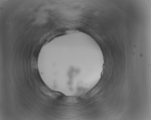 X0000073460384200608251738