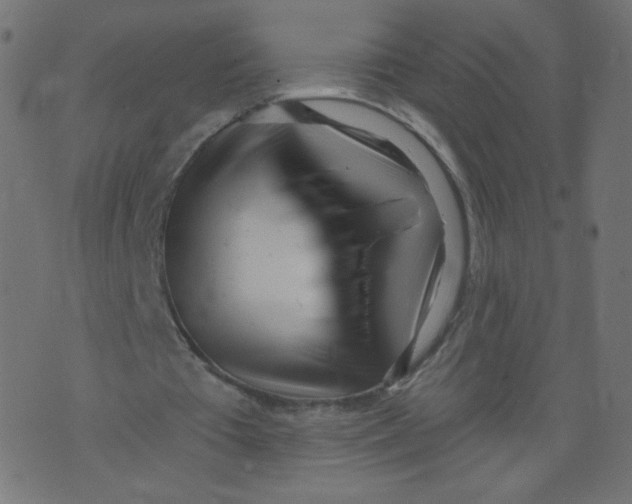 X0000073460385200608251737