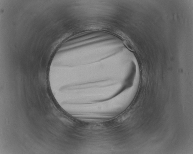 X0000073460386200608251737