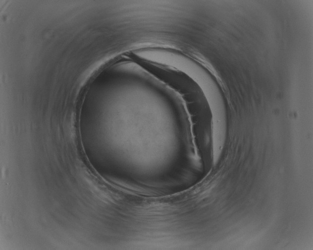 X0000073460387200608251737