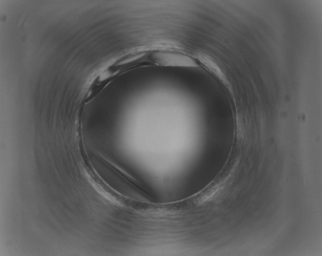 X0000073460389200608251737