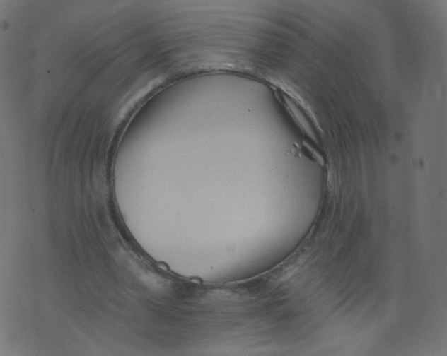 X0000073460390200608251737