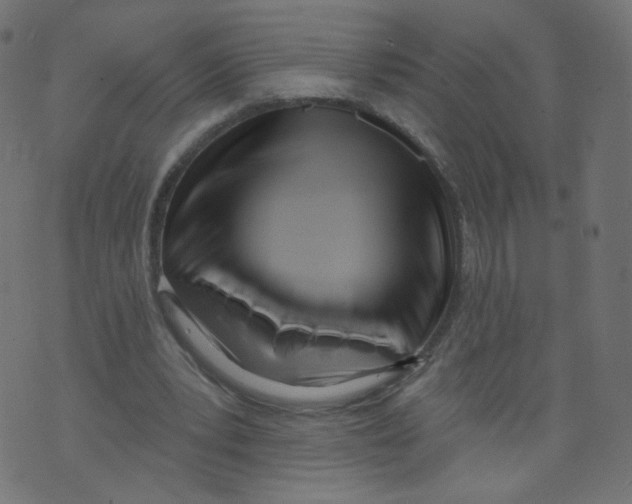 X0000073460391200608251737