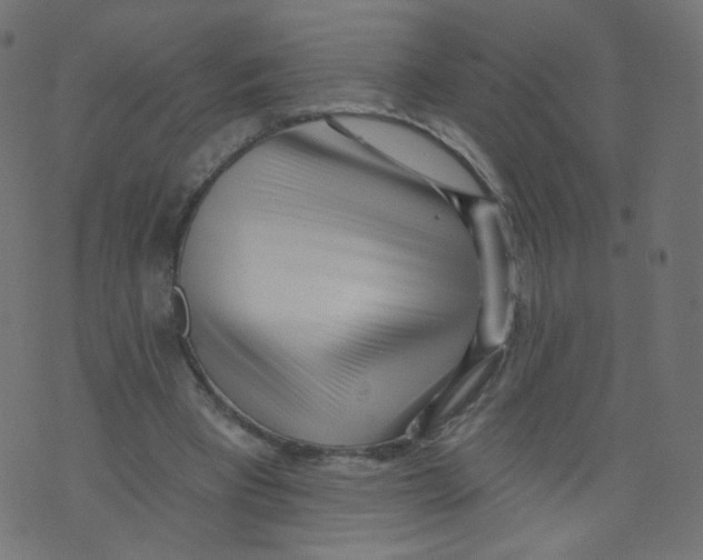 X0000073460393200608251737