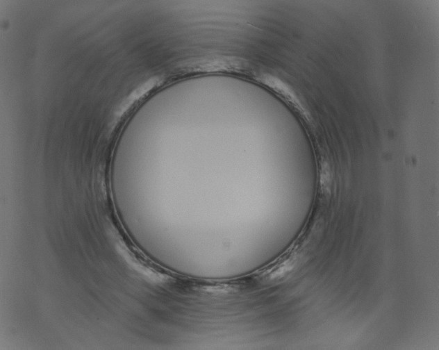 X0000073460394200608251737