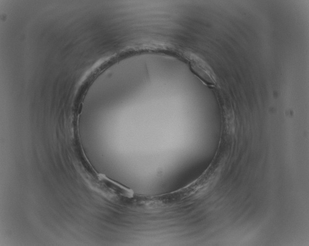 X0000073460395200608251737