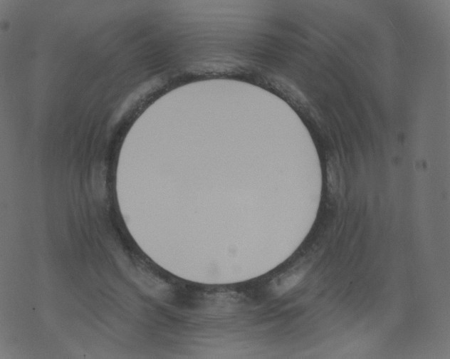 X0000073460396200608251737