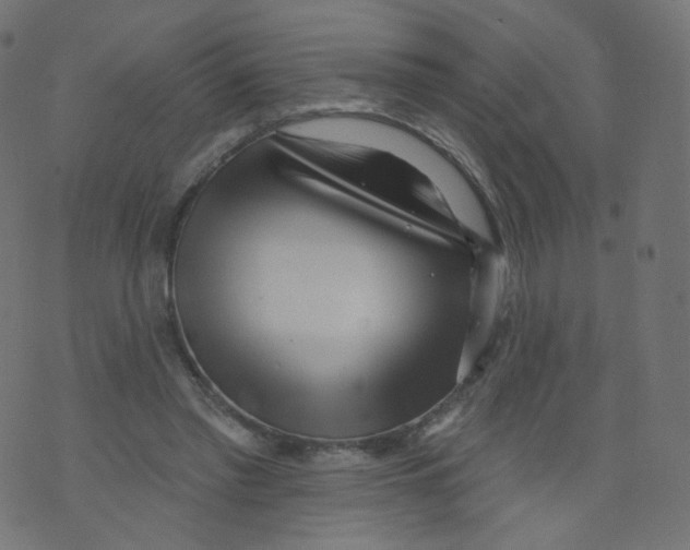 X0000073460397200608251737