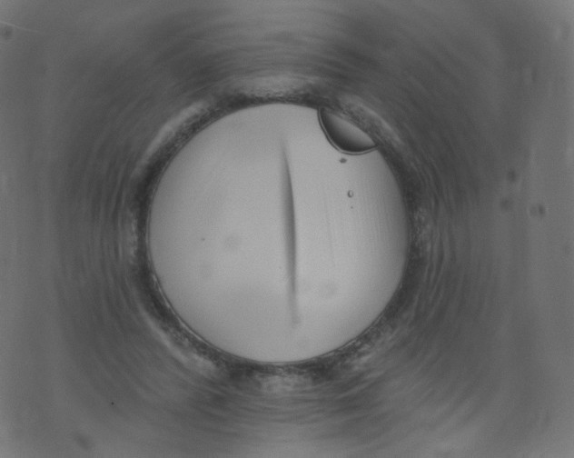 X0000073460400200608251737