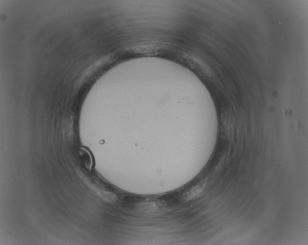 X0000073460404200608251737