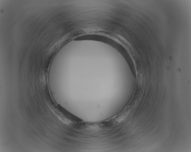 X0000073460405200608251737