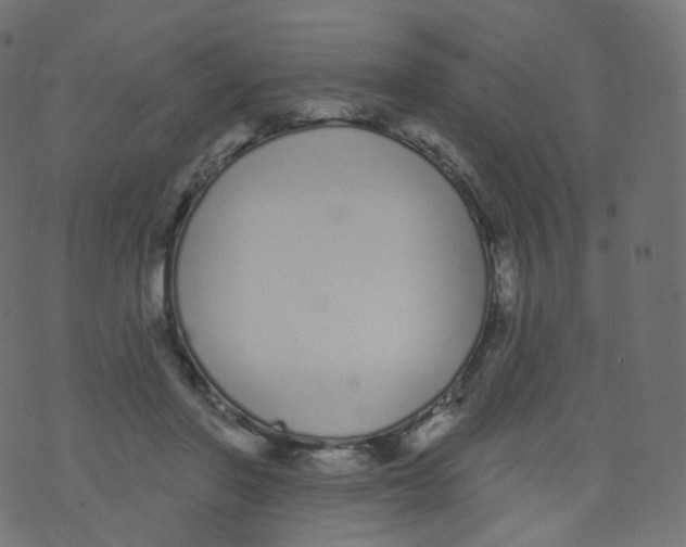 X0000073460406200608251737