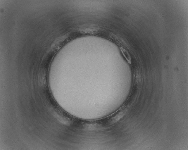 X0000073460408200608251737