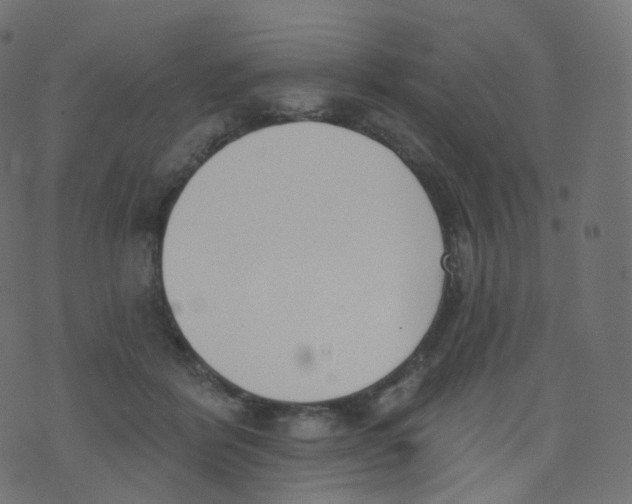 X0000073460412200608251737