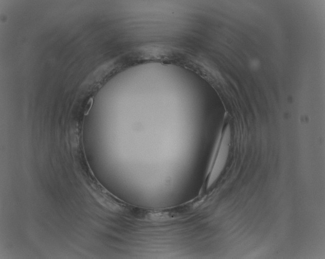 X0000073460413200608251737