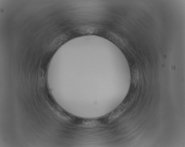 X0000073460414200608251737