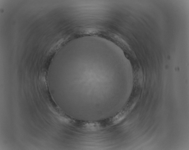 X0000073460415200608251737